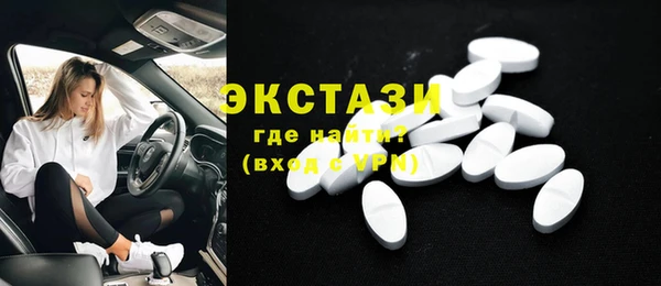 индика Сосновоборск