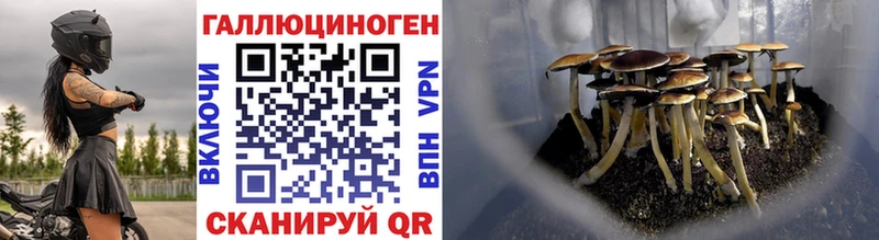 Галлюциногенные грибы GOLDEN TEACHER  Дятьково 
