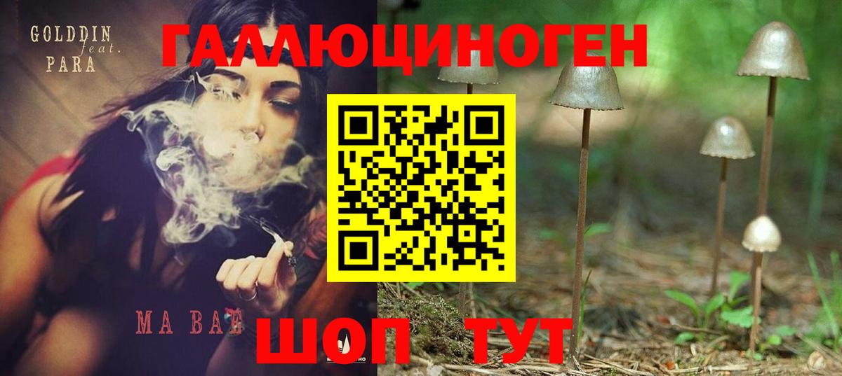 Галлюциногенные грибы мухоморы Дятьково