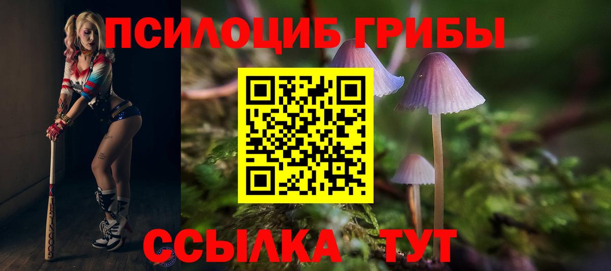 Дятьково  Псилоцибиновые грибы GOLDEN TEACHER  Вход с VPN 
